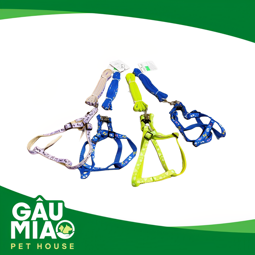 Bộ dây dắt+yếm in hình