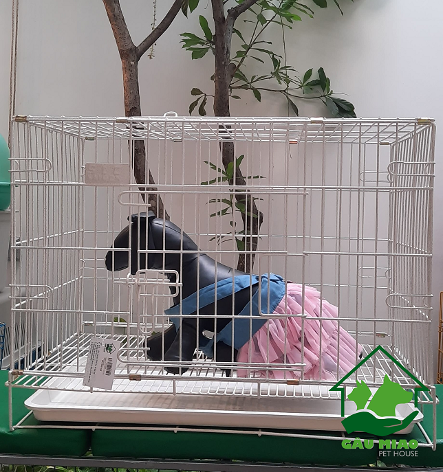 Chuồng sắt SLC Dày s.L 48*77cm