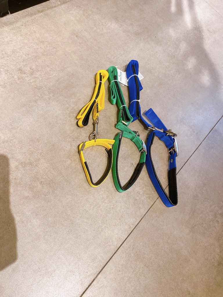 Bộ dắt+vòng cổ đệm HK