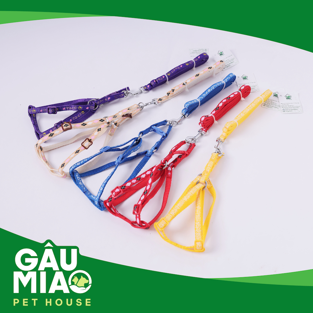 Bộ dây dắt+yếm in hình