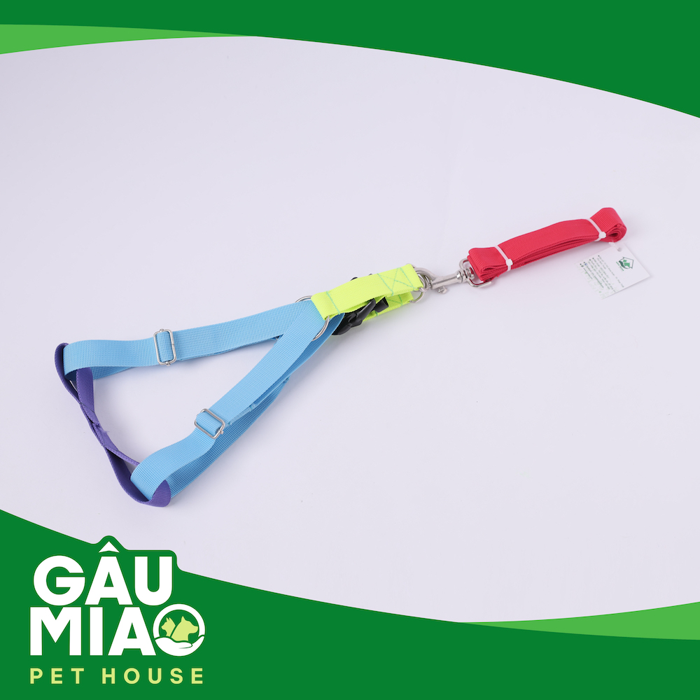 Bộ dây dắt+yếm (may) nhiều màu