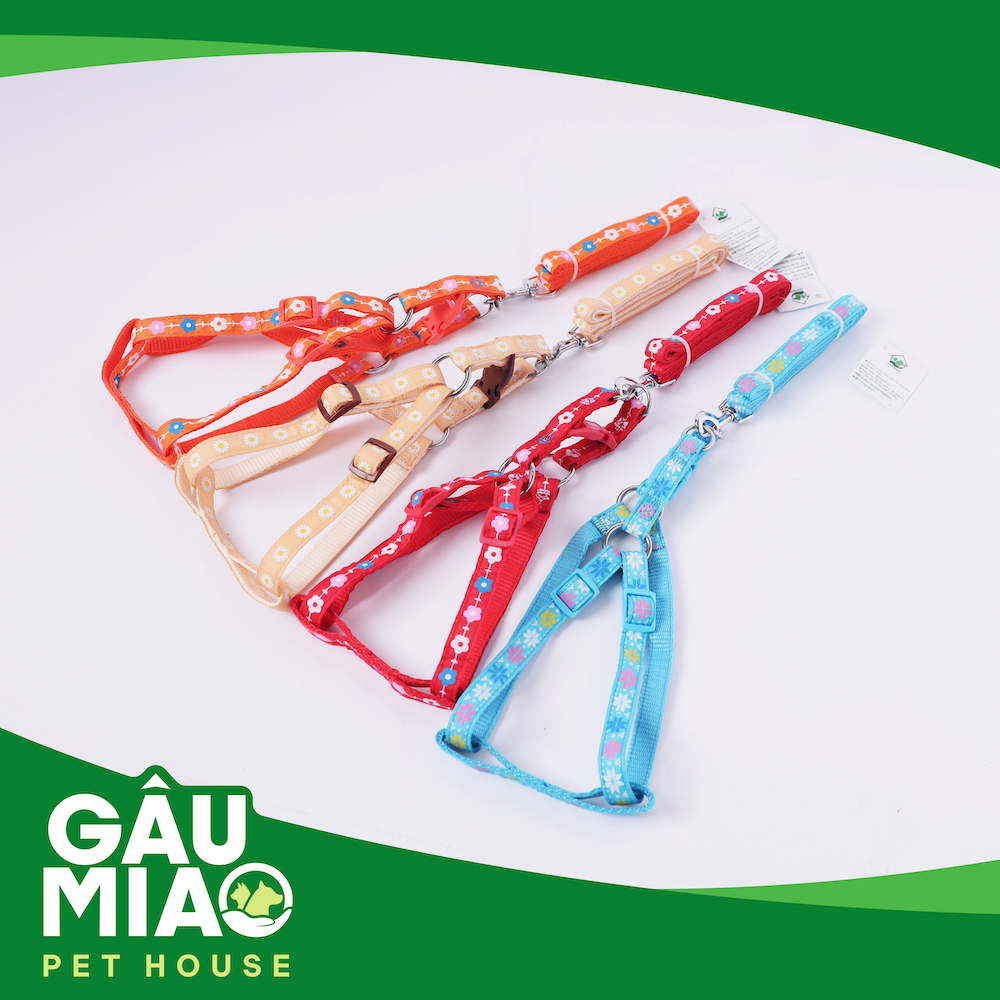 Bộ dây dắt+yếm in hình