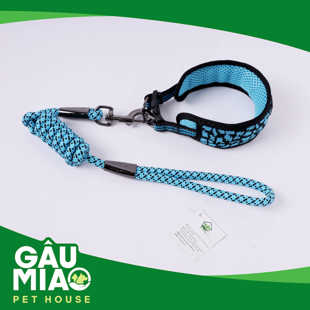 Bộ vòng cổ bản lớn+dây dắt Zichen ZC1775 s.L