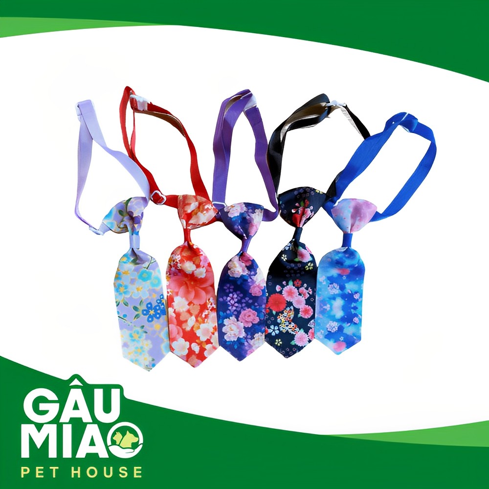 Vòng cổ HK - Cà vạt