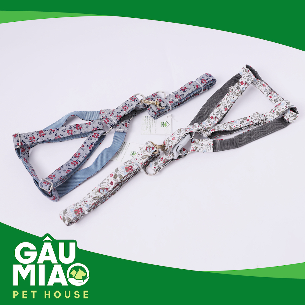 Bộ dây dắt+yếm hình hoa TD227