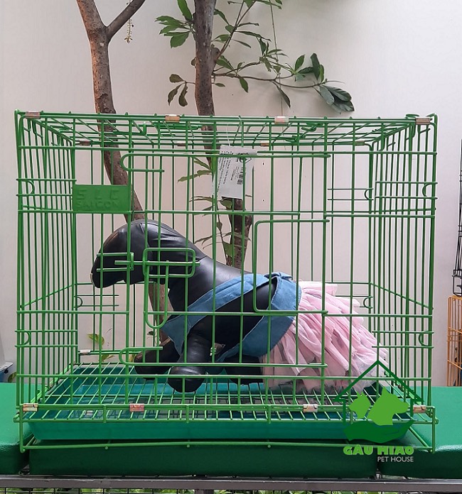 Chuồng sắt SLC s.M 42*60*50