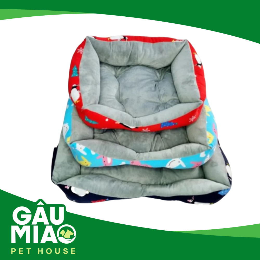 Nệm vuông hoạt hình DM