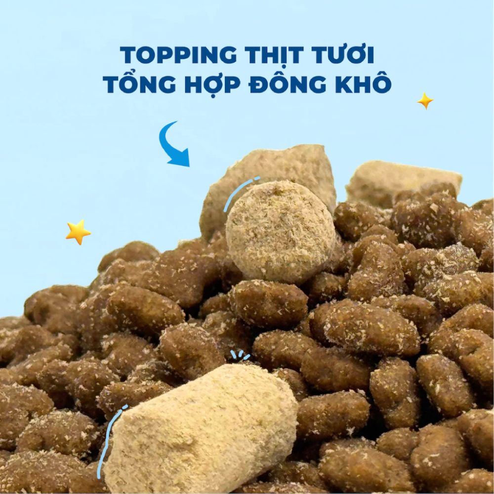 Mr.Vet G1-Thức ăn hạt cho mèo-Cá ngừ-1kg