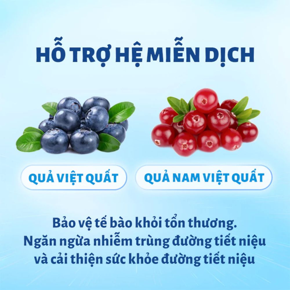 Mr.Vet T4-Thức ăn hạt cho mèo-6 loại cá-1kg