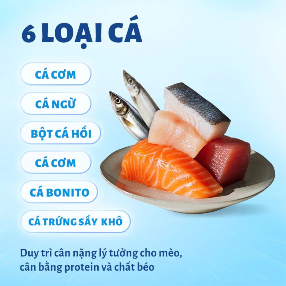 Mr.Vet T4-Thức ăn hạt cho mèo-6 loại cá-1kg