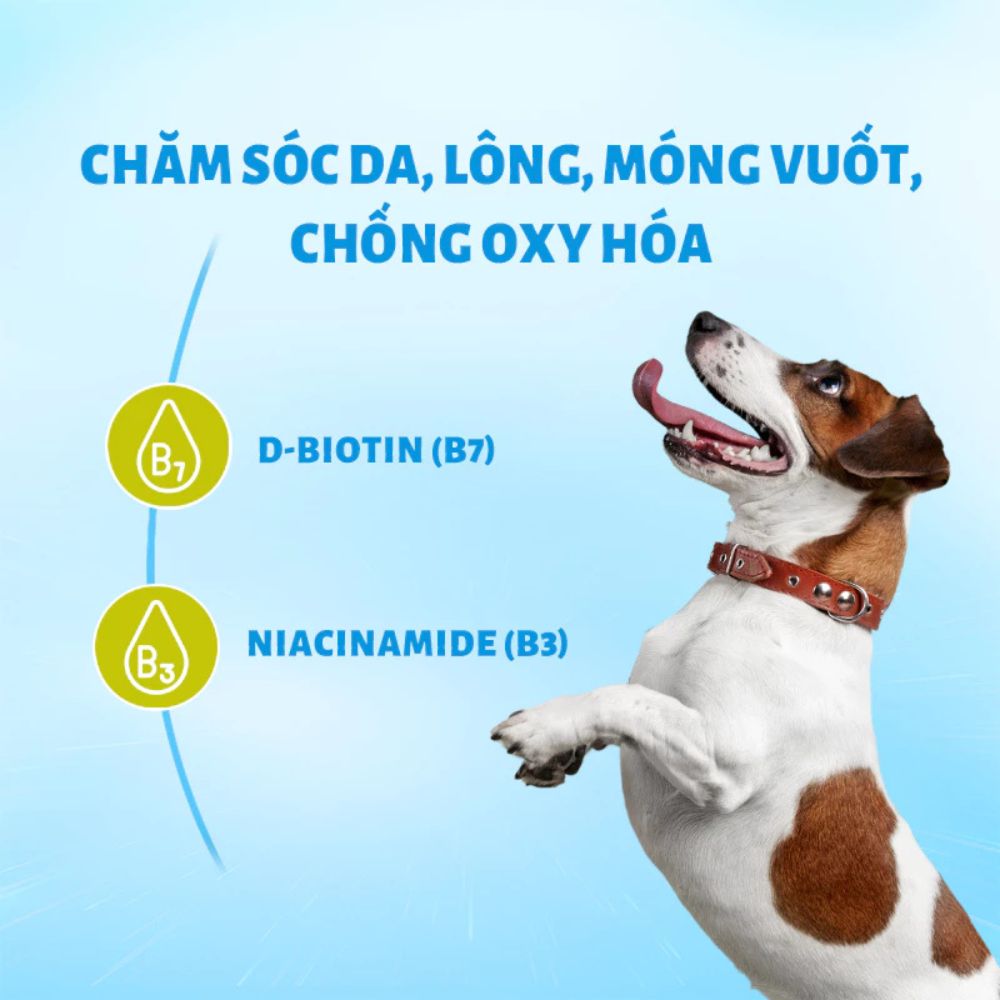 Mr.Vet D1 - Thức ăn cho chó-Thịt cừu-1.4kg