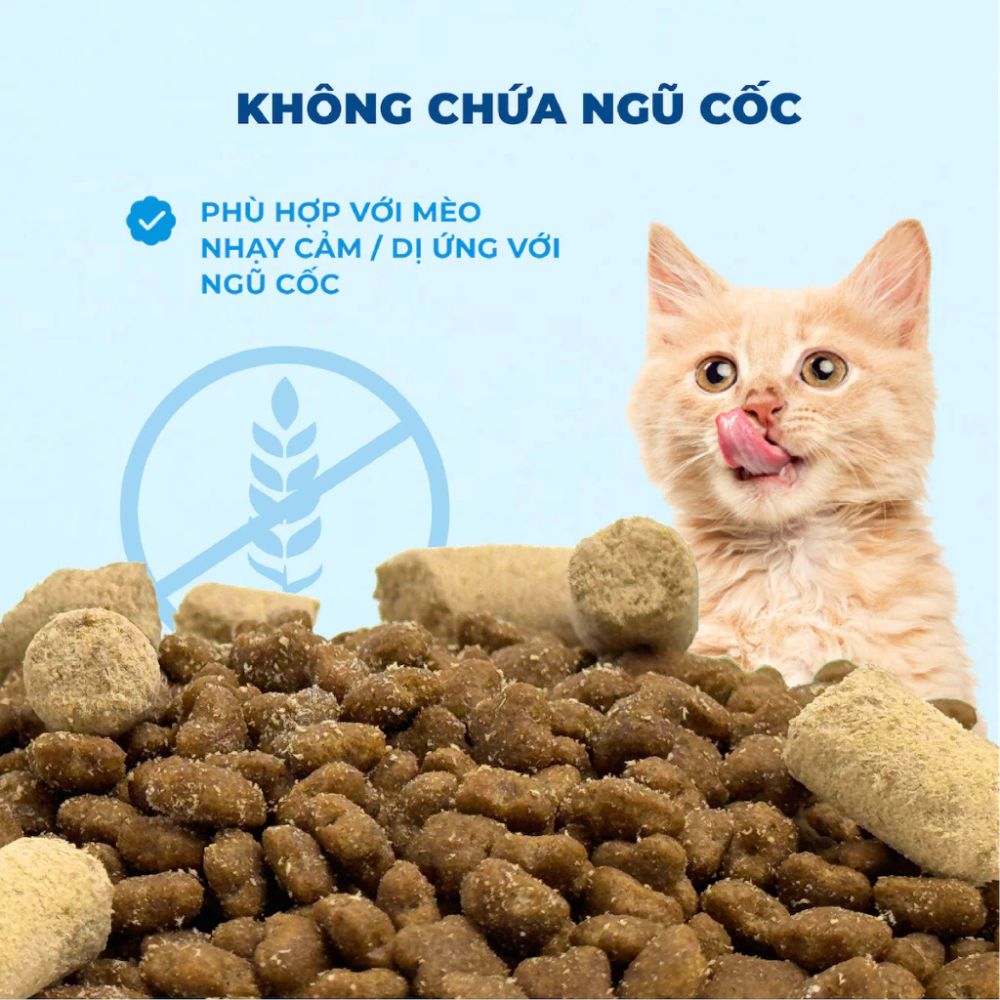 Mr.Vet G1-Thức ăn hạt cho mèo-Cá ngừ-1kg