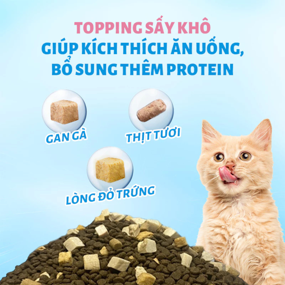 Mr.Vet T2-Thức ăn hạt cho mèo-Gà, cá hồi-1kg