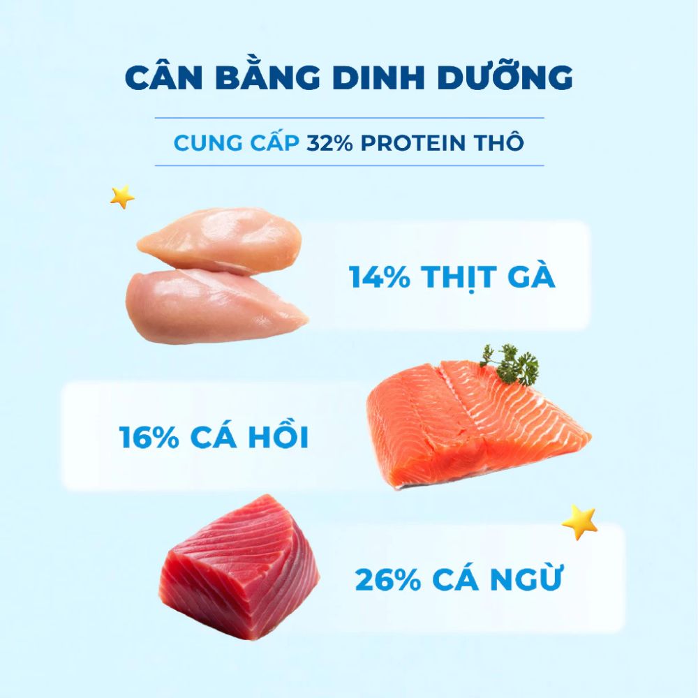 Mr.Vet G1-Thức ăn hạt cho mèo-Cá ngừ-1kg