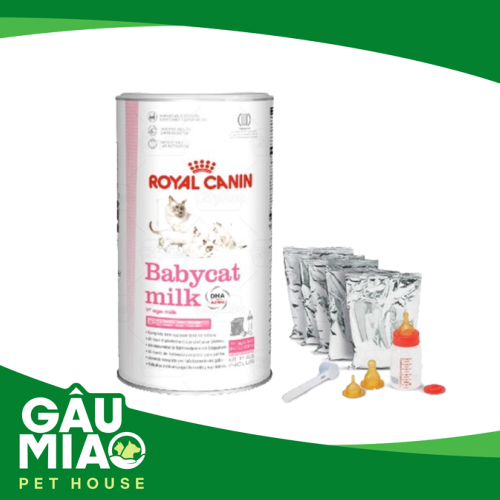 Royal Canin Babycat Milk 300g - Sữa cho mèo con