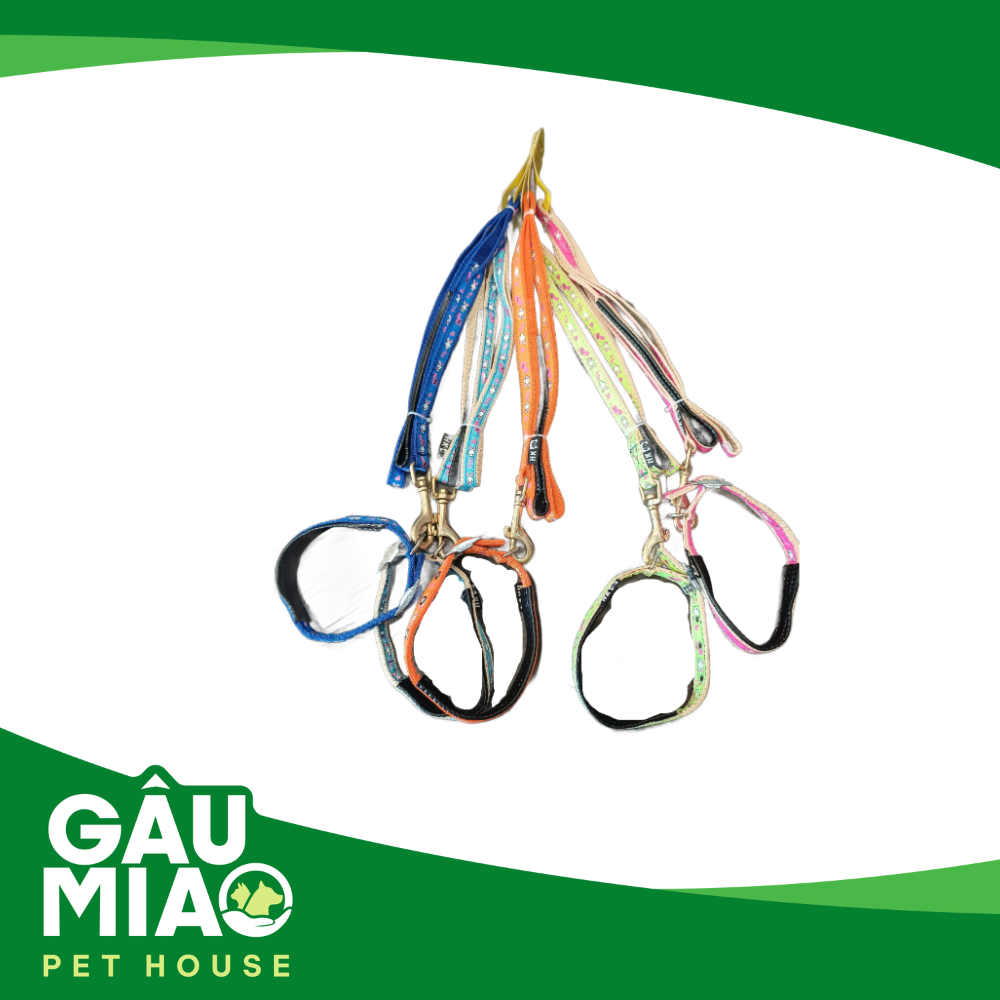 Bộ dắt+vòng cổ đệm HK Rabbit
