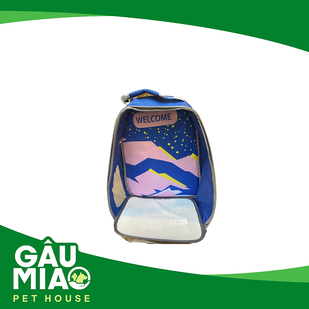 Balo hình mèo trong suốt họa tiết XB21-182 - 33*16*39cm