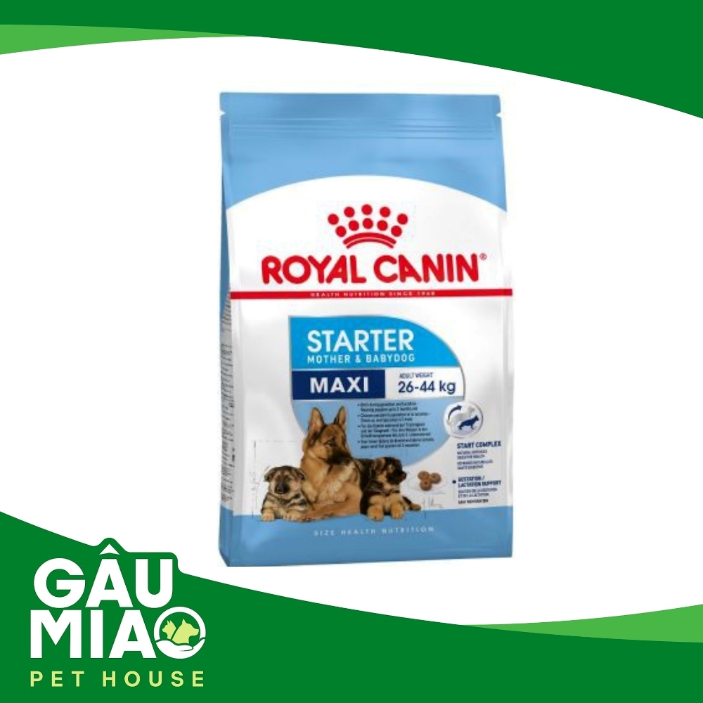 Royal Canin Maxi Starter Mother&Baby