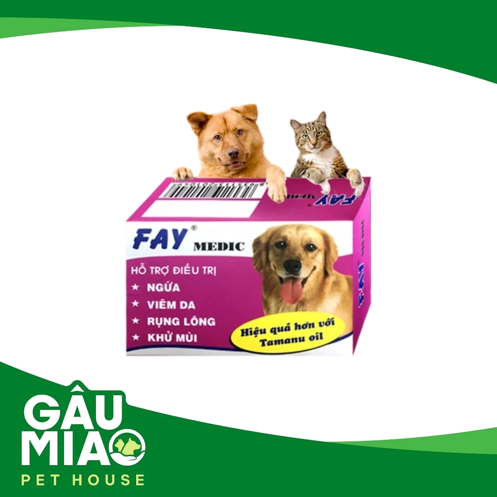 Xà bông FAY MEDIC 100g - Hỗ trợ trị ngứa, ghẻ, xà mâu, nấm da