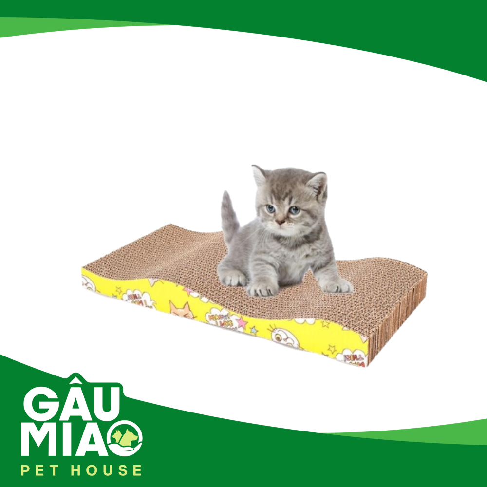 Bàn cào móng giấy TD