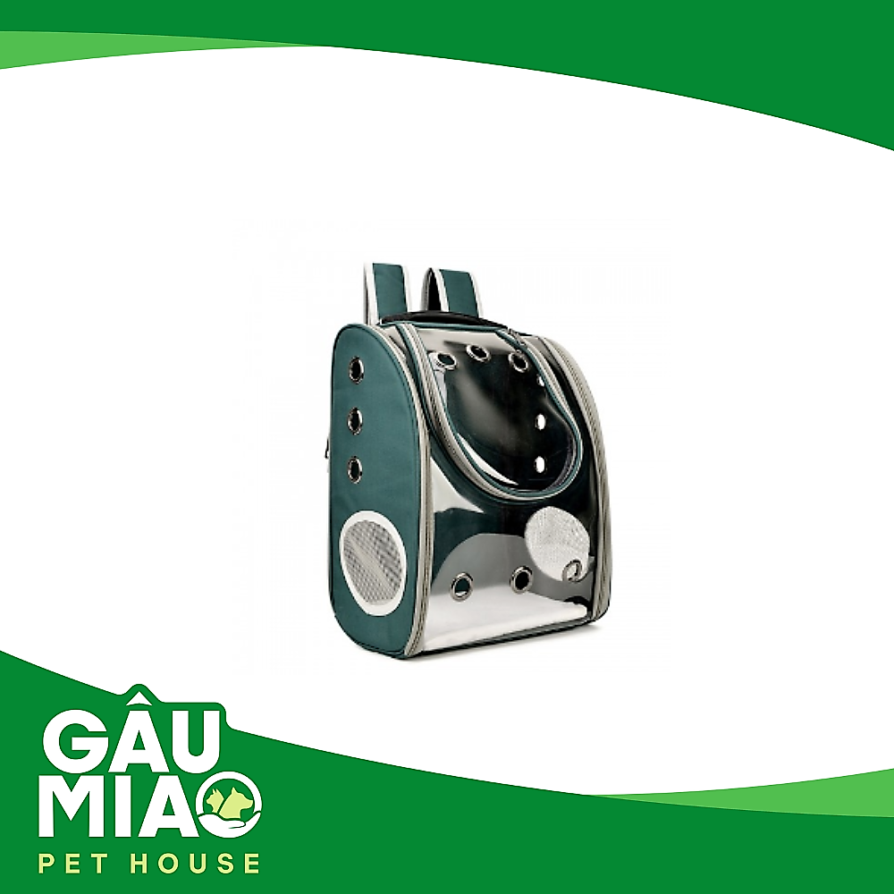 Balo vải trong suốt GLC0213