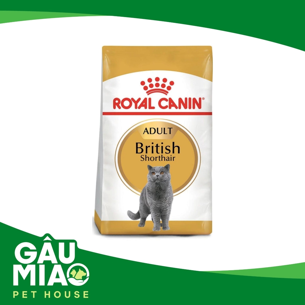 Royal Canin British Shorthair Adult