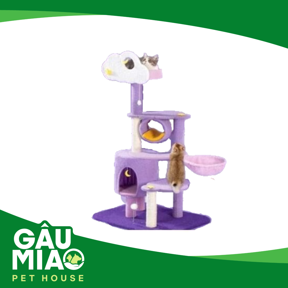 Cây mèo leo Đám mây-Tím YD-01 60*48*150cm