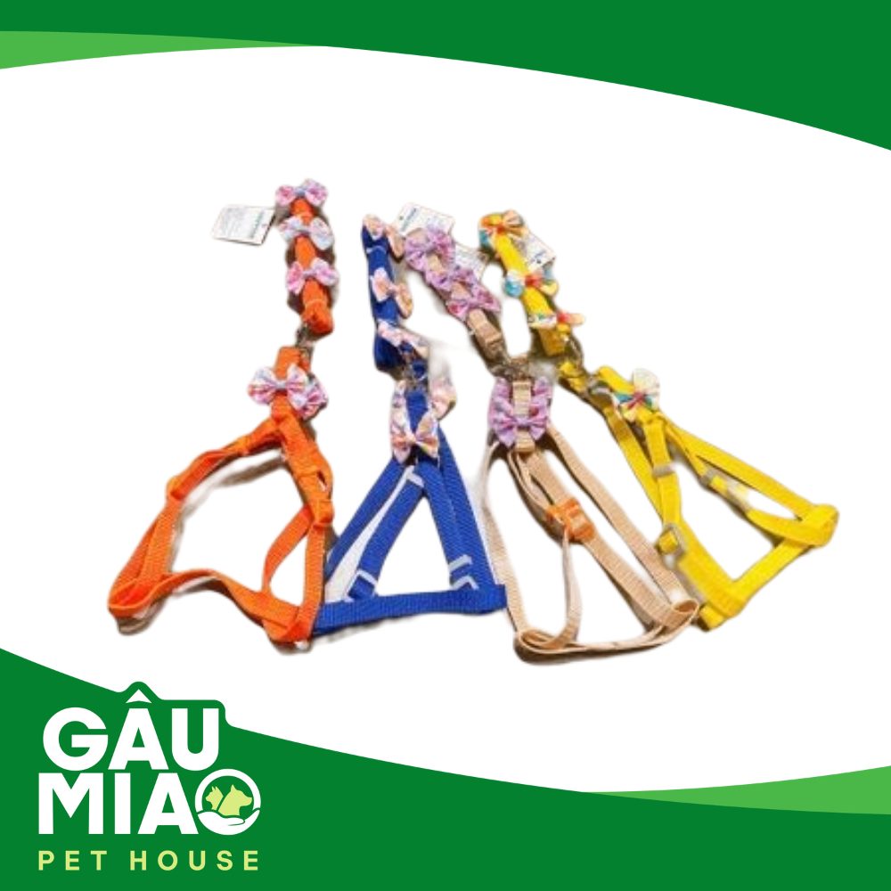 HK-Bộ dây dắt nơ +yếm nơ