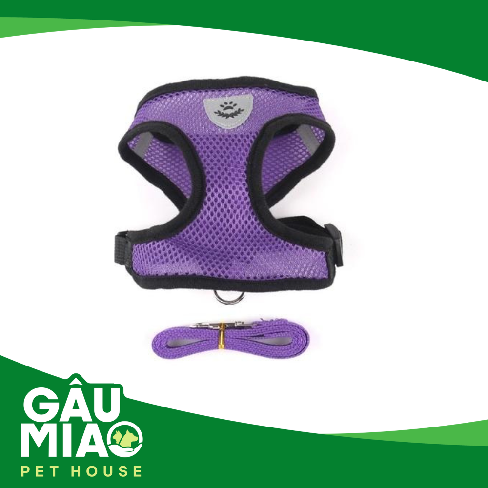 HK-Bộ dắt +đai yếm màu thể thao
