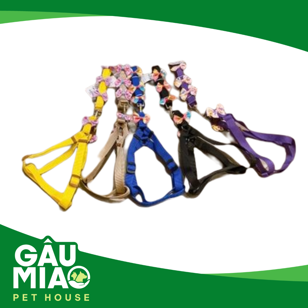 HK-Bộ dây dắt nơ +yếm nơ