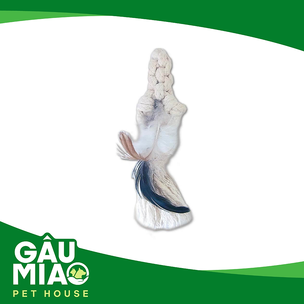 CattyMan Đồ chơi cotton lông gà hình vòng