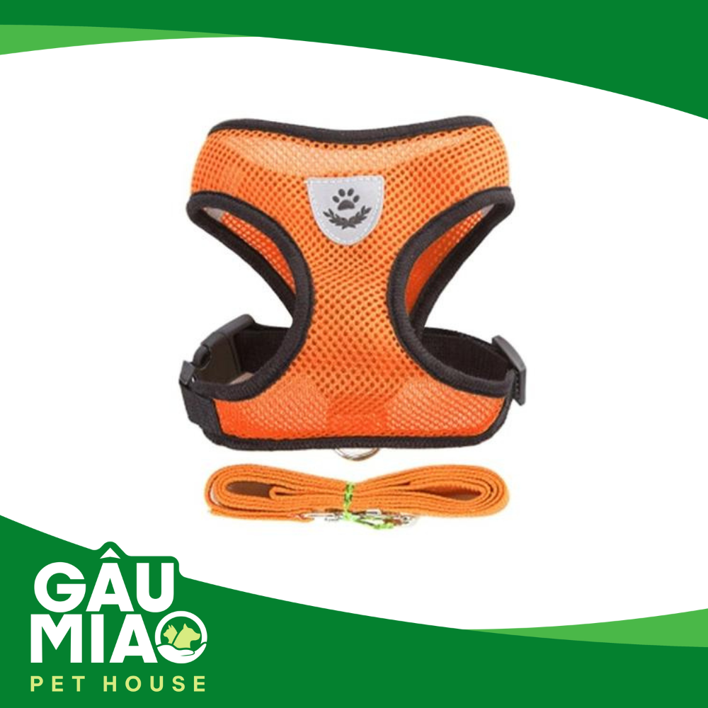 HK-Bộ dắt +đai yếm màu thể thao
