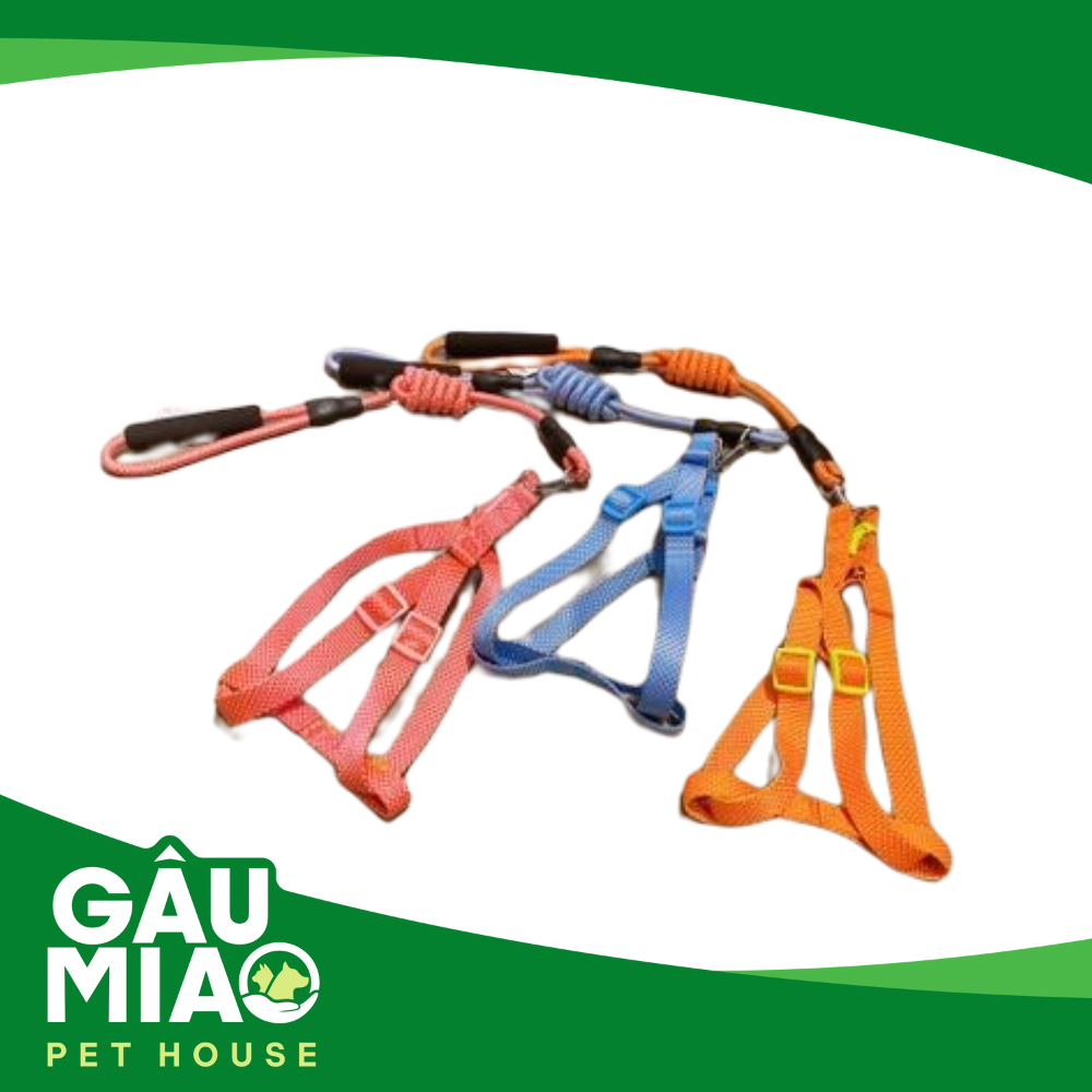 Bộ dắt tròn+yếm HK Tam giác bi màu