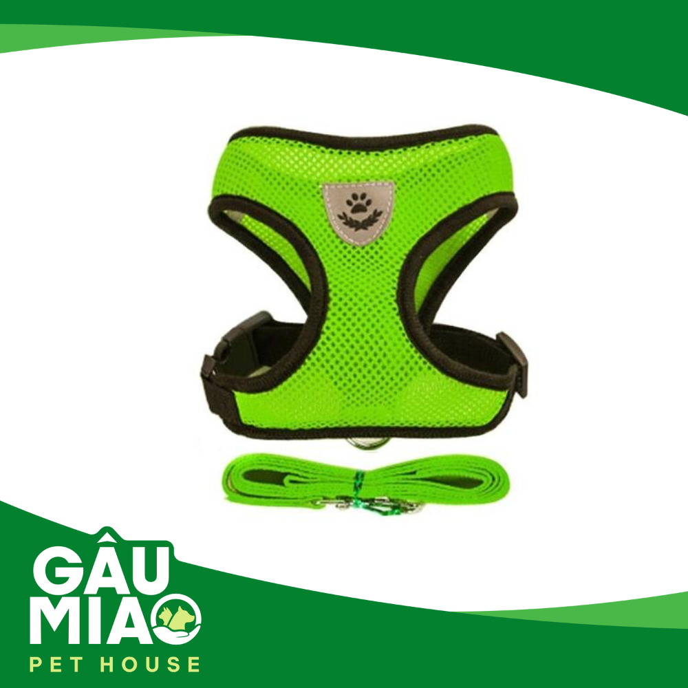 HK-Bộ dắt +đai yếm màu thể thao
