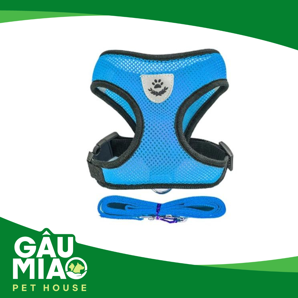 HK-Bộ dắt +đai yếm màu thể thao