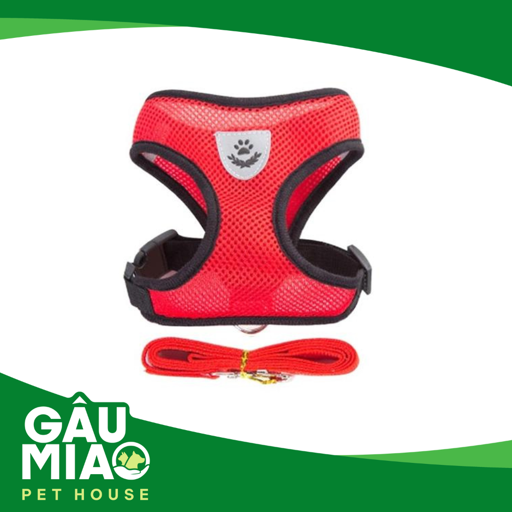 HK-Bộ dắt +đai yếm màu thể thao