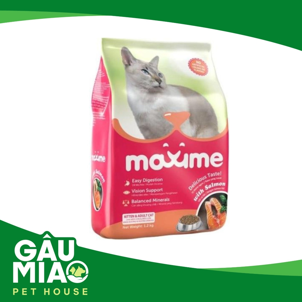 Maxime Kitten & Adult Cat with Salmon