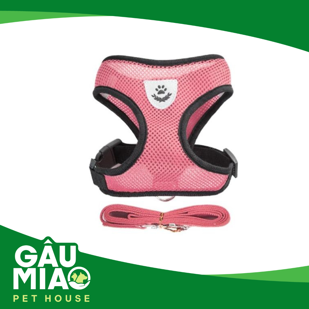 HK-Bộ dắt +đai yếm màu thể thao