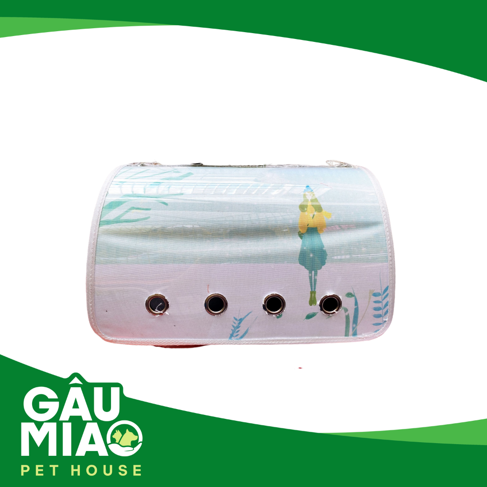 Túi trong cô gái XB1