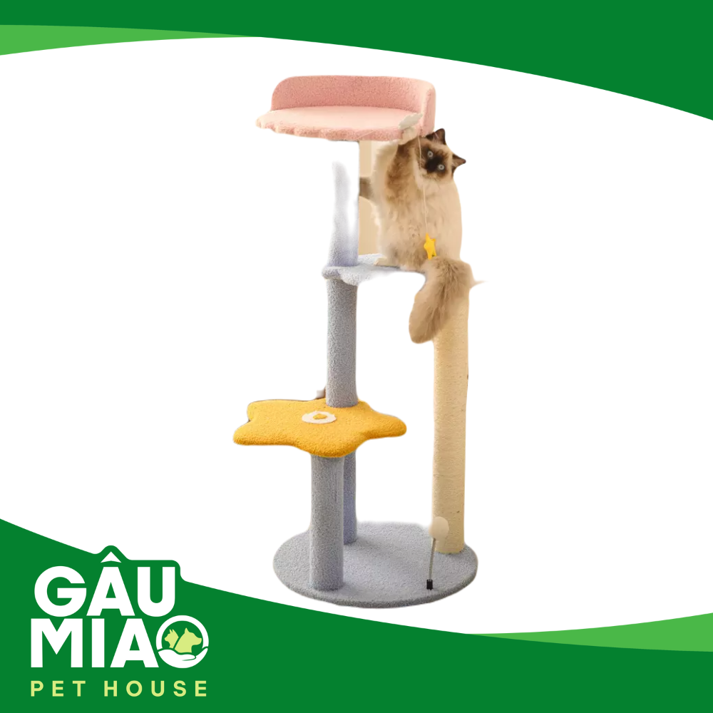 Cây mèo leo cá xanh dương HY-01 48*48*115cm