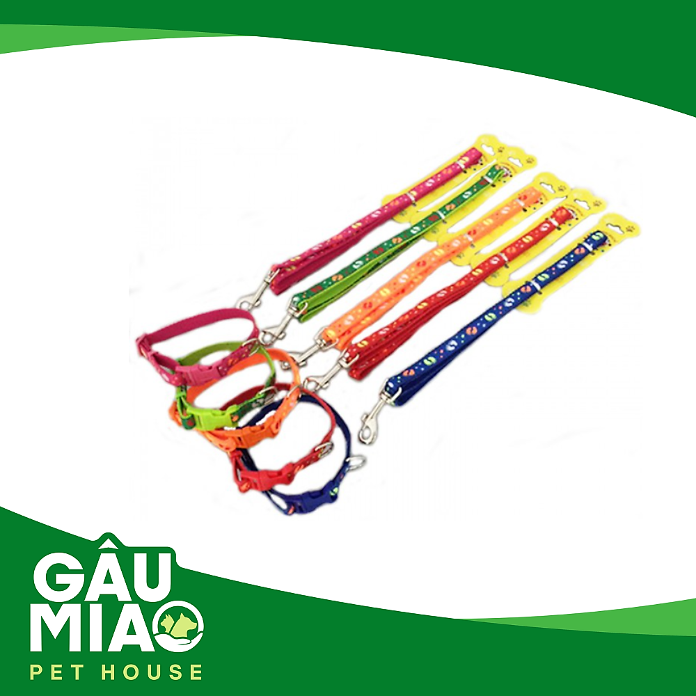 Bộ dắt+vòng cổ HK Ngôi sao