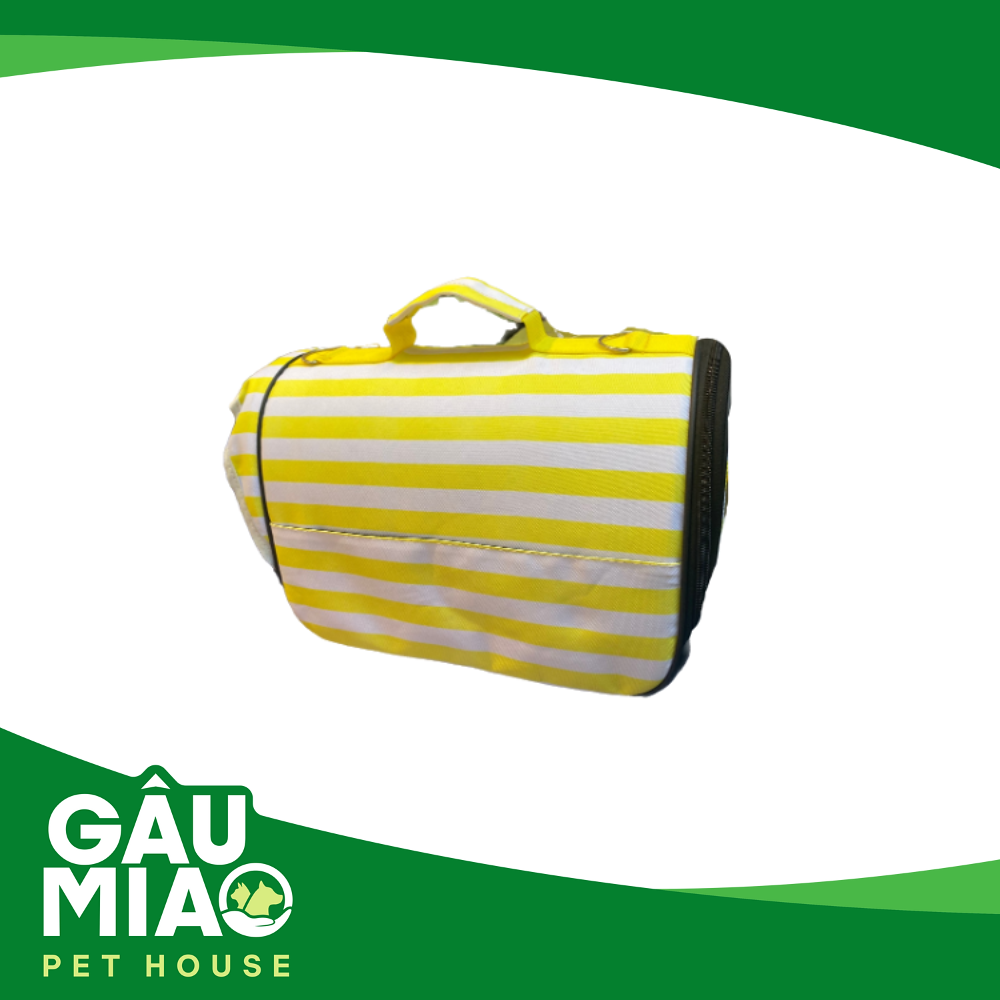 Túi Sọc 12101XB01