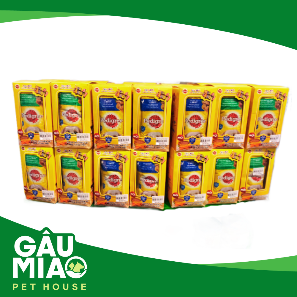 COMBO(6+1) Pedigree sốt cho chó trưởng thành