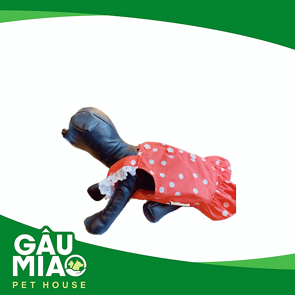 Đầm DV0157 Dây vai bèo chấm bi-Hồng