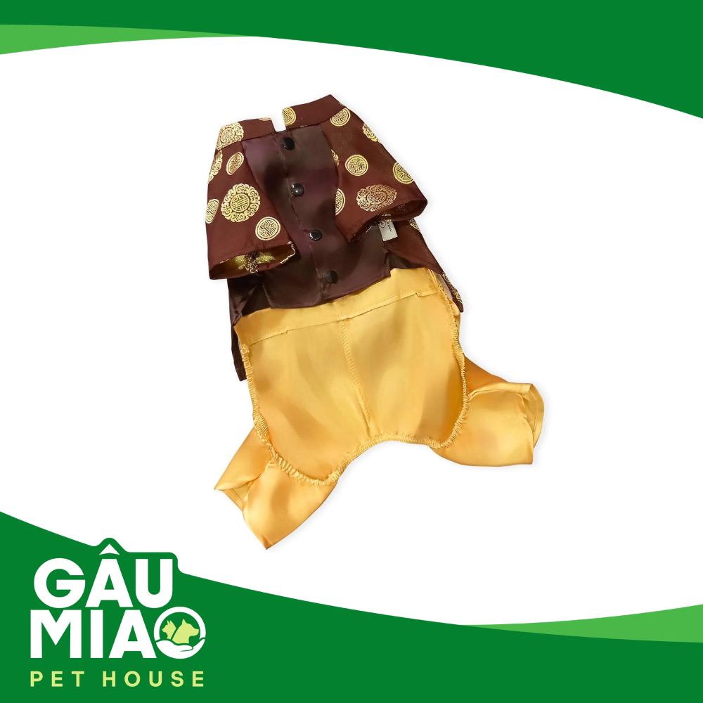 Áo dài thêu rồng