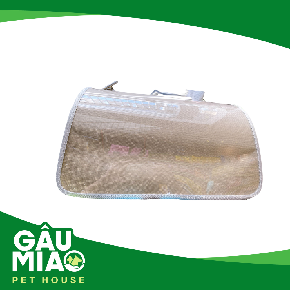 Túi trong cô gái XB1