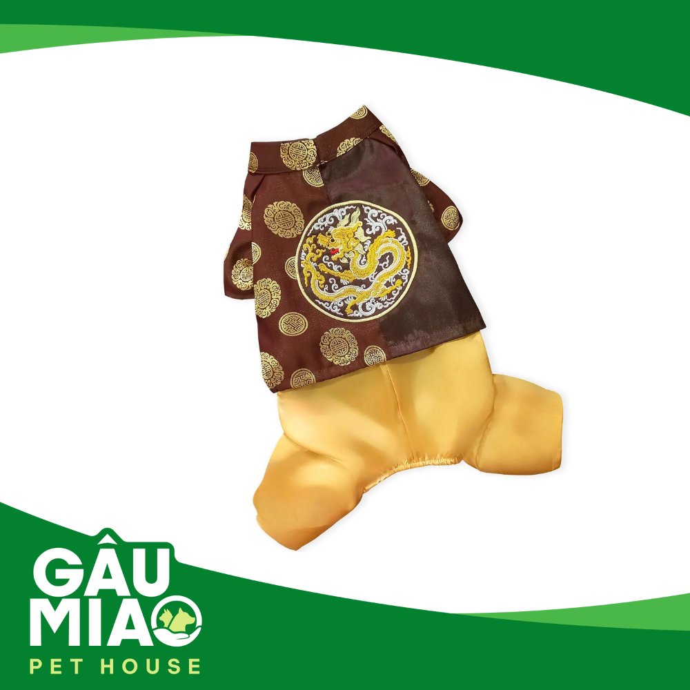 Áo dài thêu rồng