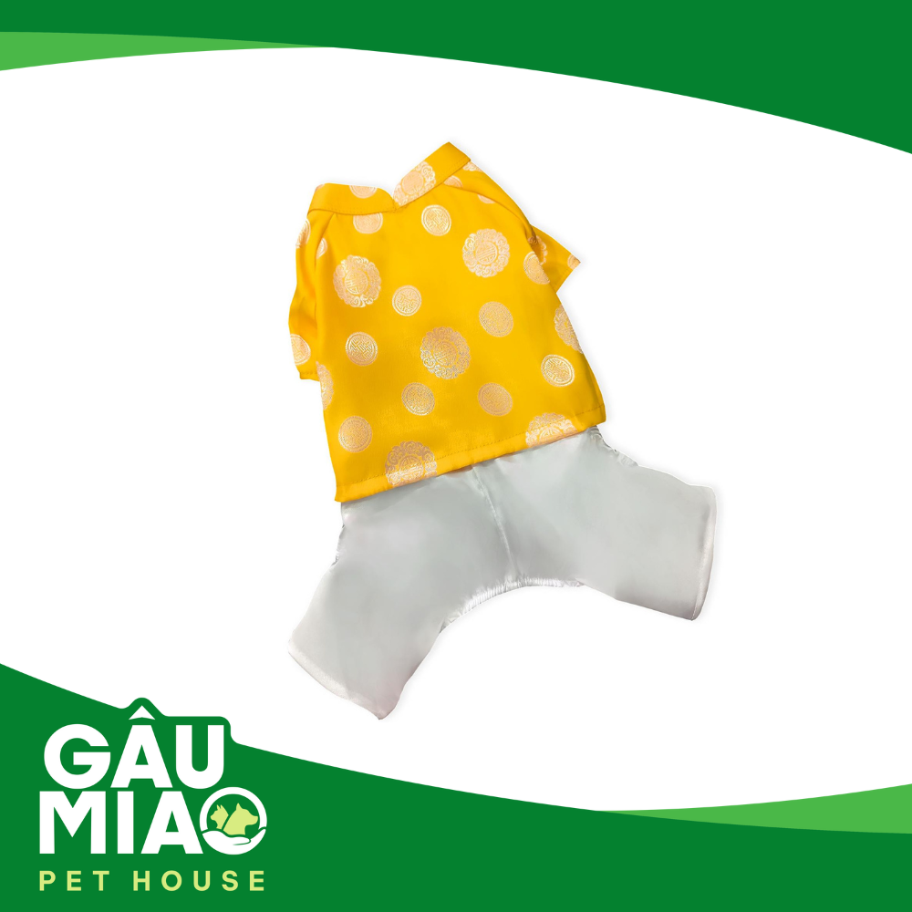 Áo dài truyền thống cổ đôi