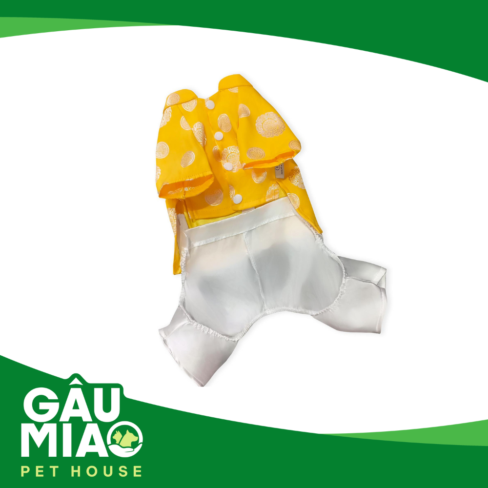 Áo dài truyền thống cổ đôi