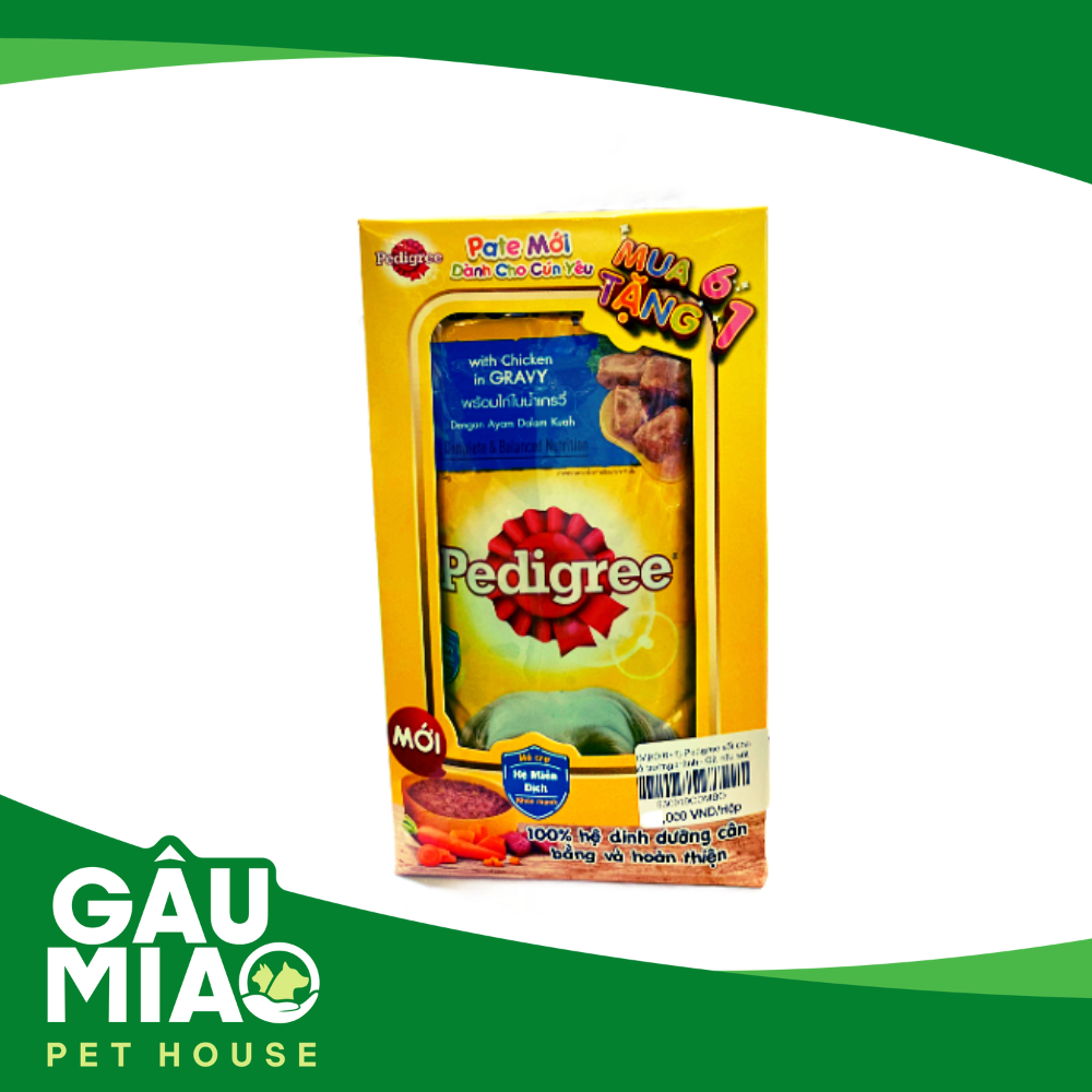 COMBO(6+1) Pedigree sốt cho chó trưởng thành